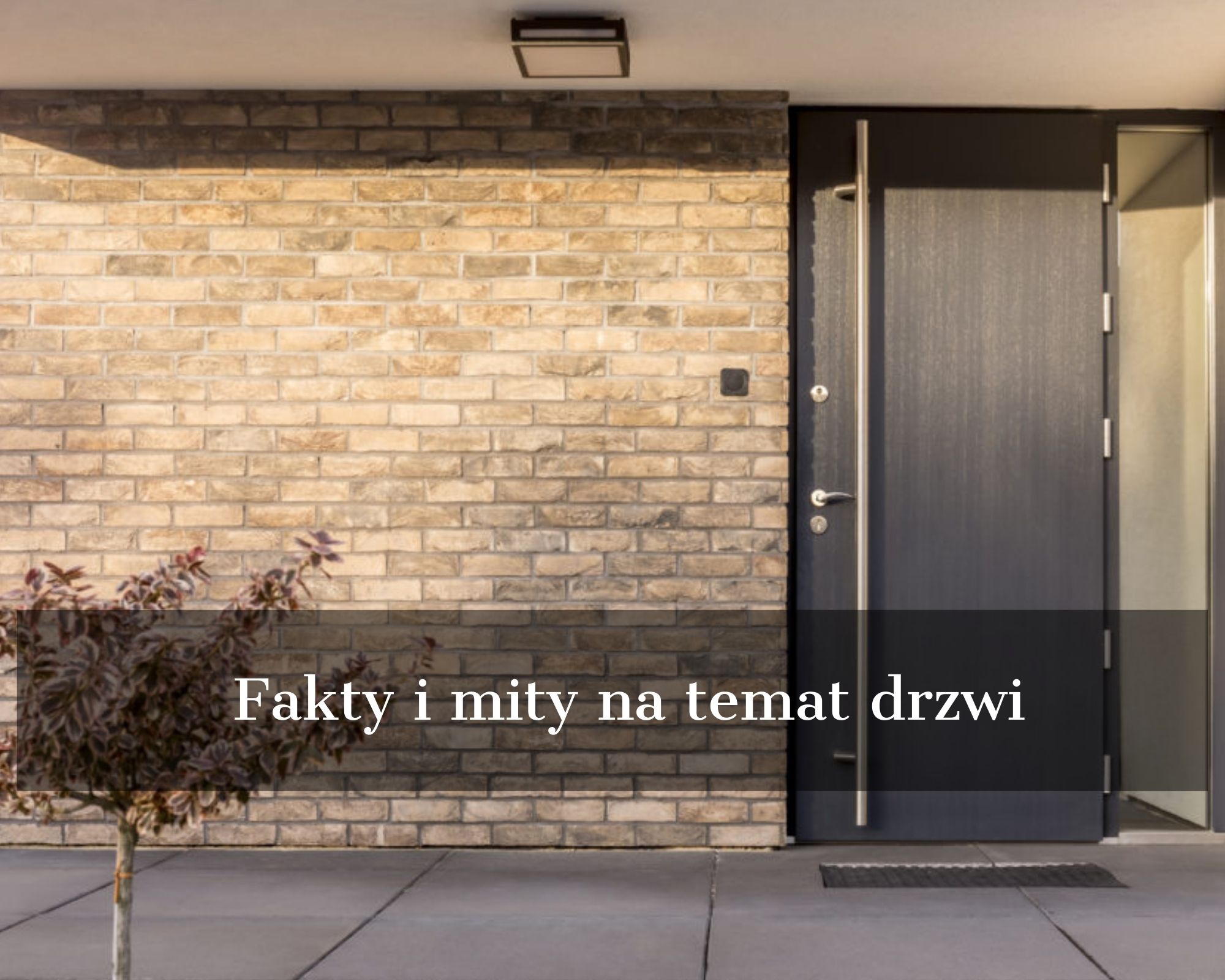 fakty i mity na temat drzwi