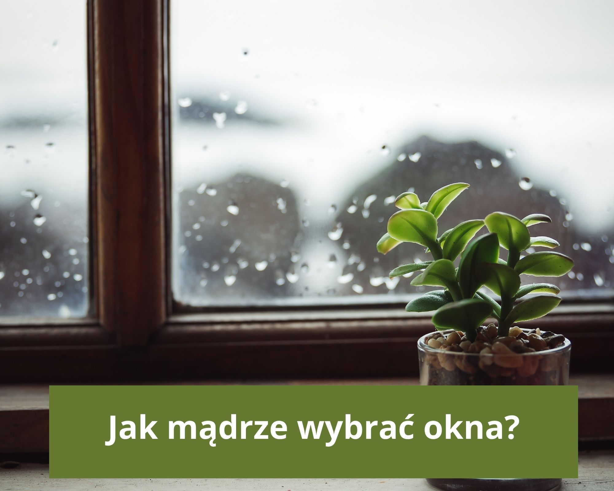 jak mądrze wybrać okna