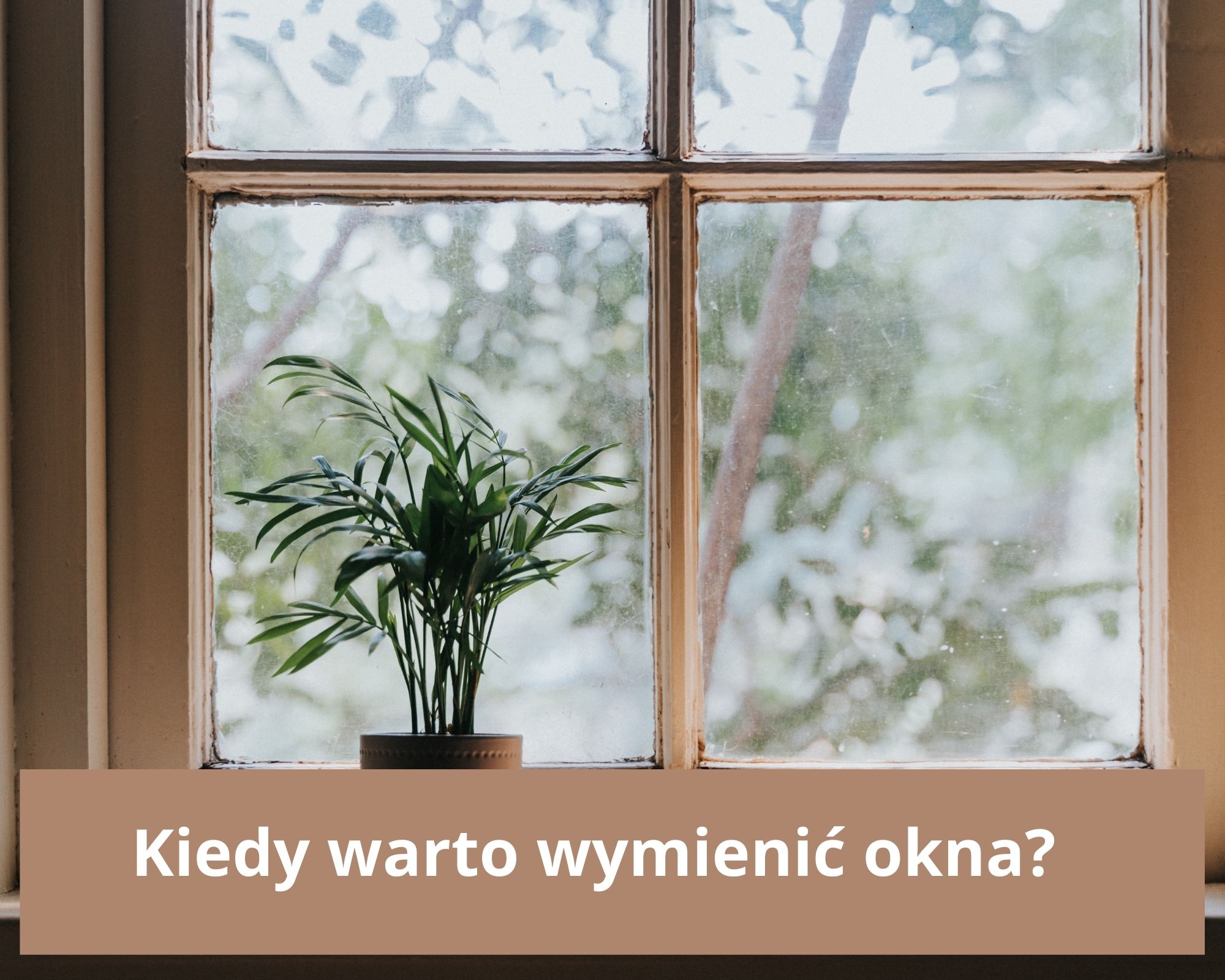 kiedy warto wymienić okna